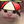 Avatar for Ice69